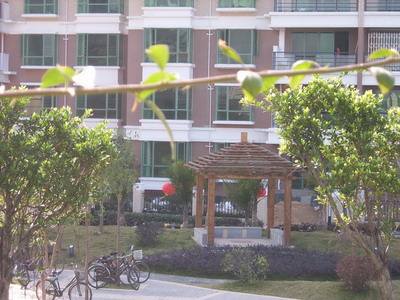 �@��ľˇ��Ԕ��(x��)��B