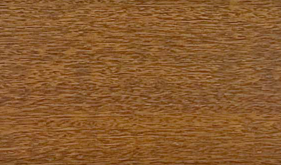 ���}���Ԕ����B