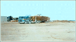 ������ԭľɼľ