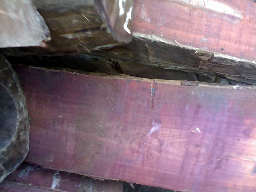 ����С�~��̴��Ԕ����B