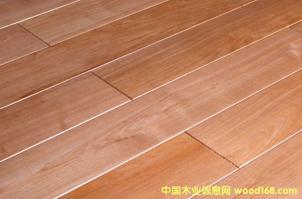 ��ľ��Ԕ����B