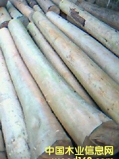 ���|��ɼ��Ԕ����B