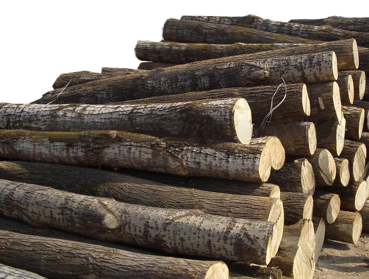 ԭľ,��ľ��Ԕ����B