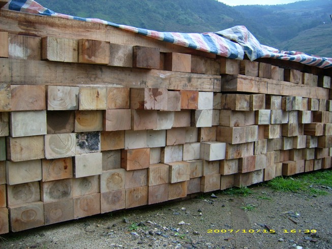 ��ľ��Ԕ����B