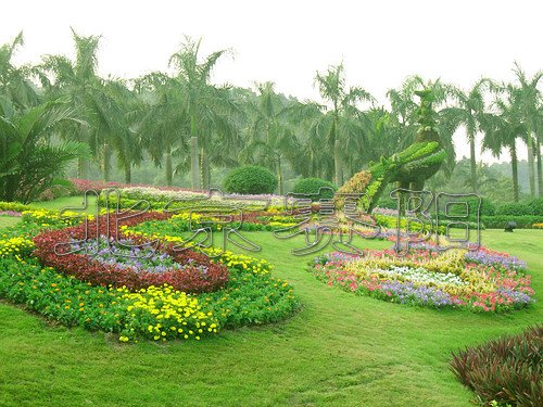 ģ�y����������ِꖵ�Ԕ��(x��)��B