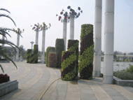 ���w���������w������Ԕ��(x��)��B