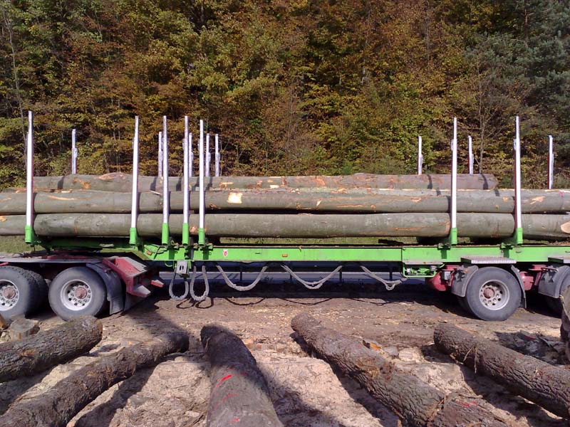 ��ľBC ��ԭľ��Ԕ����B