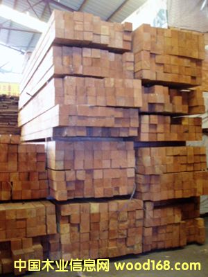 �����M�ڰͻ�ľ����Ԕ����B