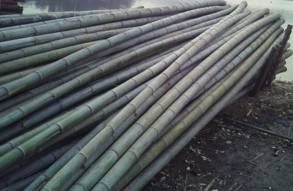 ë����񣩵�Ԕ����B