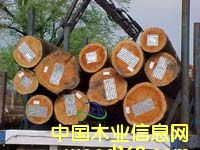 ��ľ��Ԕ��(x��)��B