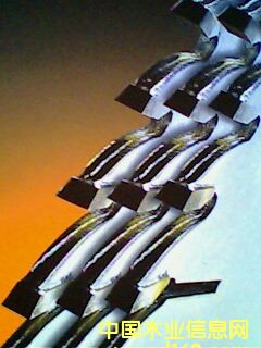 �M���Ƭ��Ԕ����B