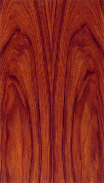 ������֦��Ԕ����B