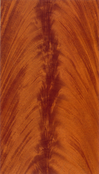 �һ�о����Ԕ����B