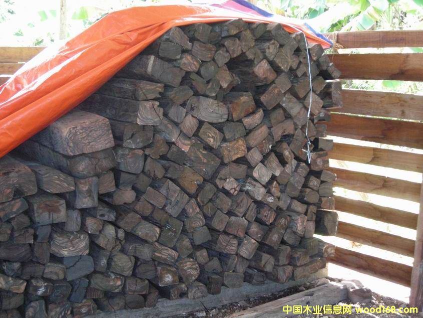 ��̴��Ԕ����B