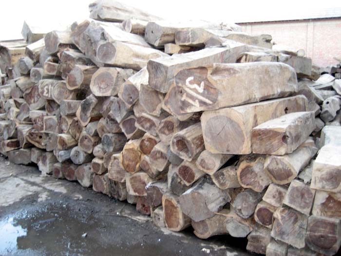 �ϓ��t��֦��Ԕ����B