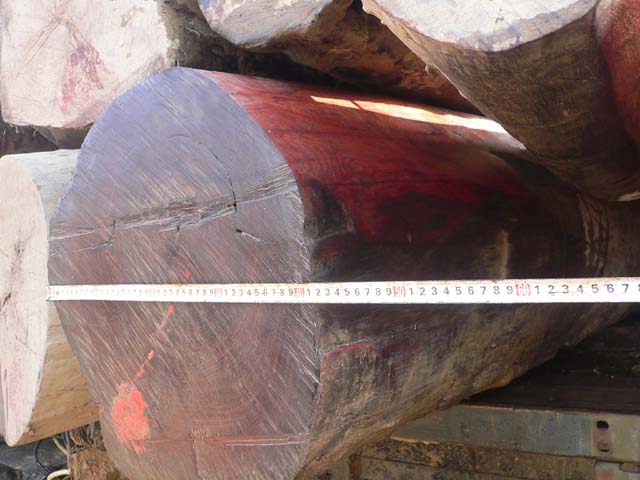 ���黨֦��Ԕ����B