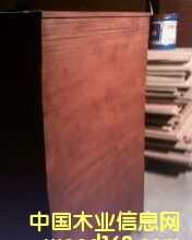 ��ľ������ģ���Ԕ����B