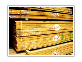 ������Ȼ������