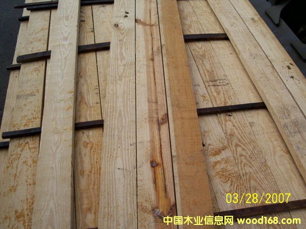 Pine��Ԕ����B