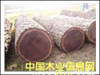 �c���鿴�����ں���ԭľ�Ŵ�DƬ