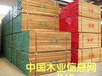 �c���鿴�ں��Ұ�ķŴ�DƬ