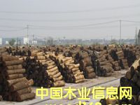 �c���鿴�����ں���ԭľ�Ŵ�DƬ