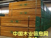 �c���鿴�ں��Ұ�ķŴ�DƬ