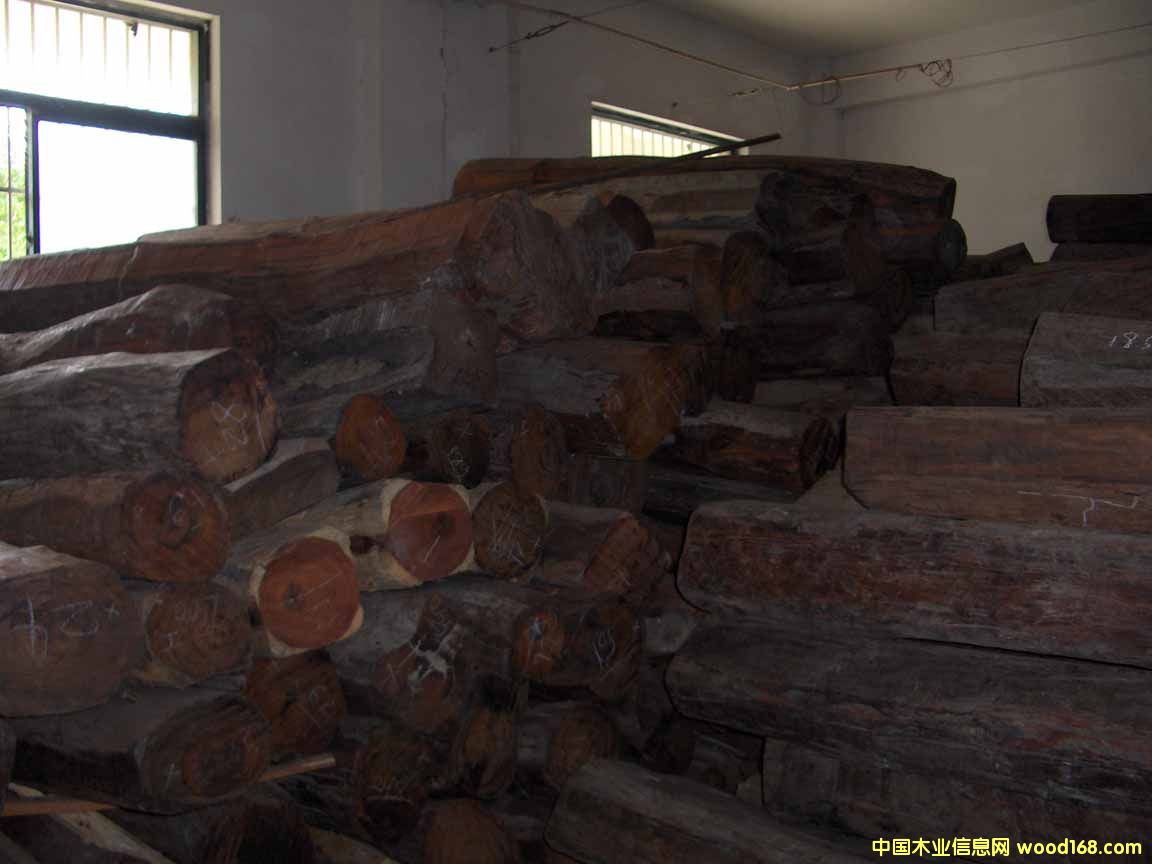 �t��֦��Ԕ����B