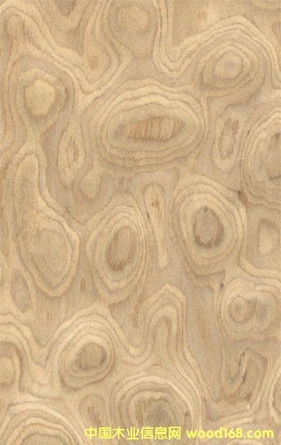 ����������Ԕ����B