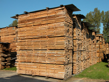 �W�޵�Ԕ����B