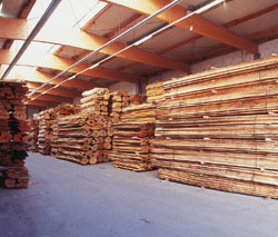 �W�޵�Ԕ����B