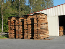 �W�ޙ�ľ��Ԕ����B