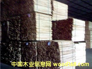 ���zľ��Ԕ����B