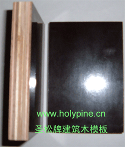 ʥ���ƽ���ģ��,���ְ�,��Ĥ�z�ϰ�,��Ĥģ��