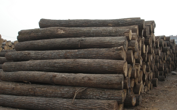 �ľ��Ԕ����B