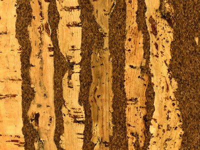 ��̤ܛľ��Ԕ����B