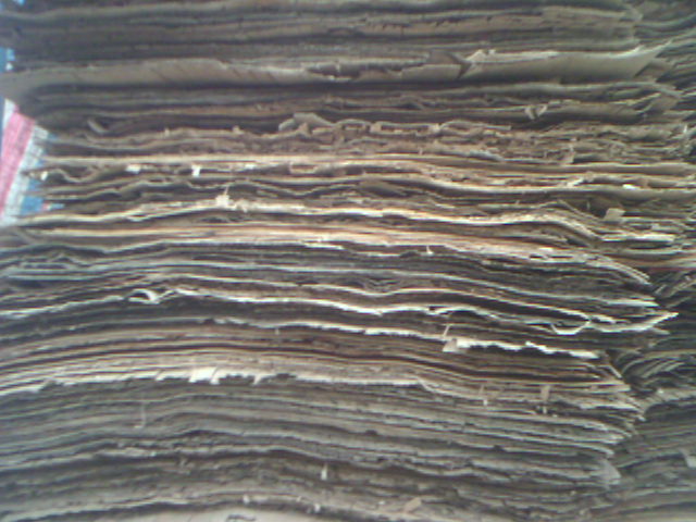 ľƤ��Ԕ����B