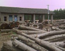 �S����Ԕ����B