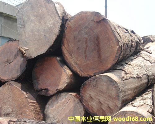 �ں��ҵ�Ԕ��(x��)��B