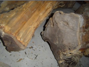 �|�Ǻ��S̴��Ԕ����B