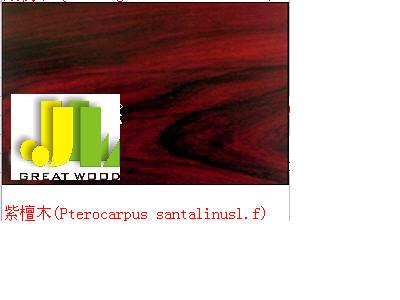 ̴ľ ����̴���t̴����Ԕ����B