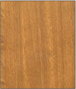 ̴ľ��Ԕ����B