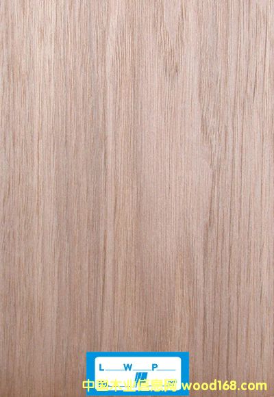 ���|ľƤ���ľ��Ԕ����B