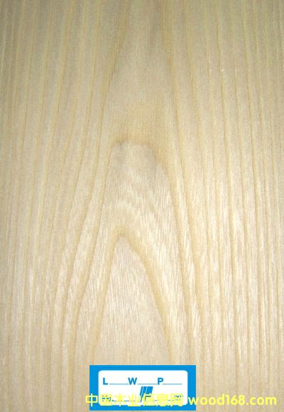 ��ľ��Ԕ����B