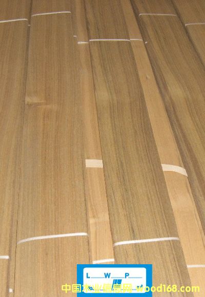 ̩�ֵ�Ԕ����B