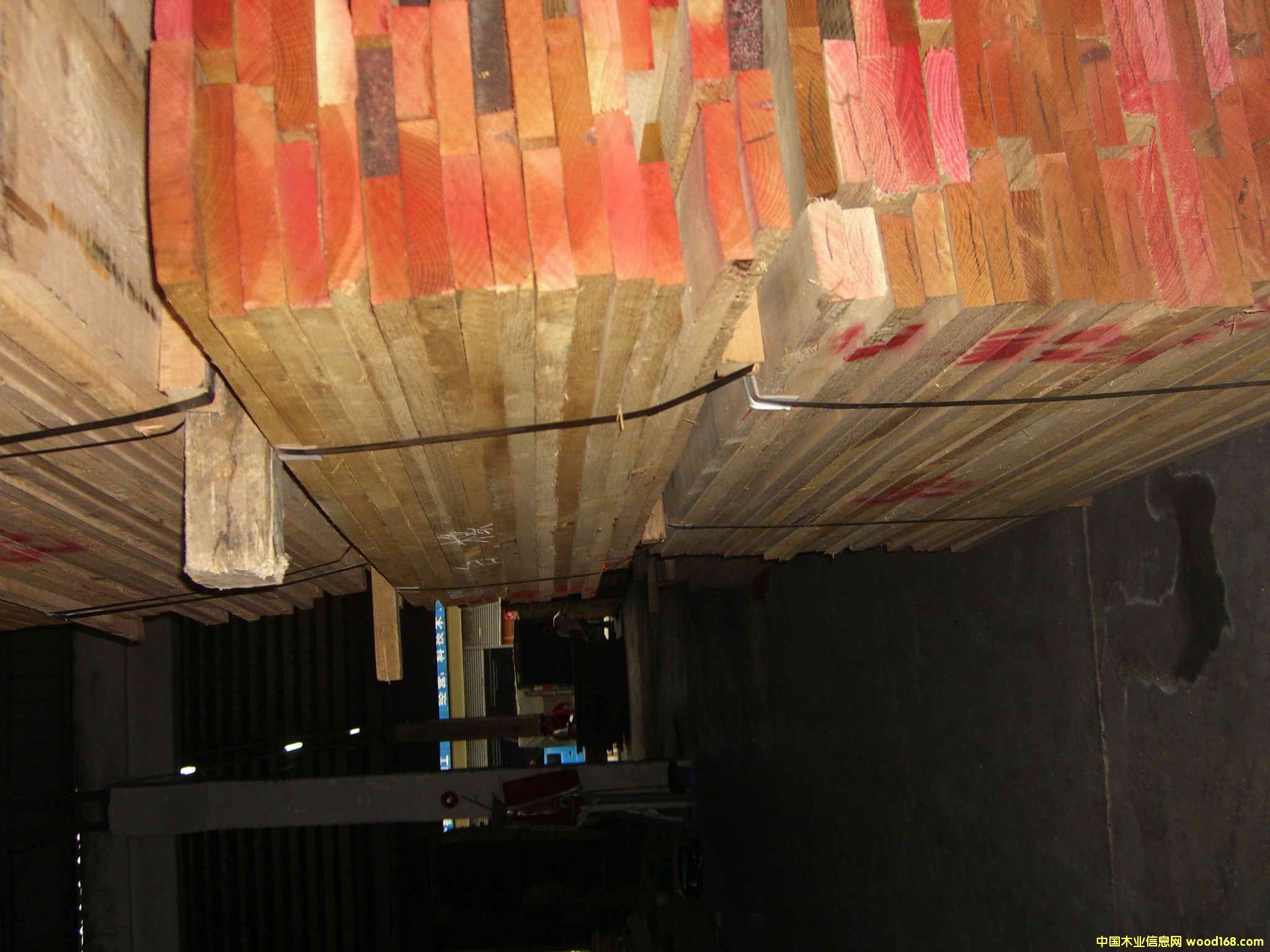 ��������ľ��Ԕ����B