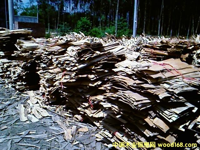 ��ľ�������Ԕ����B