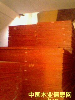 ����ģ���Ԕ����B