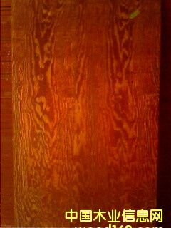 ����ģ���Ԕ����B