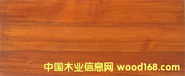 ��ľ���z ������̴L03